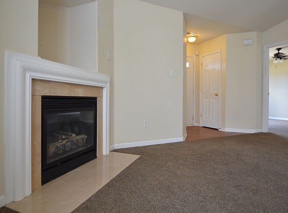 Gas Fireplace with TV Niche