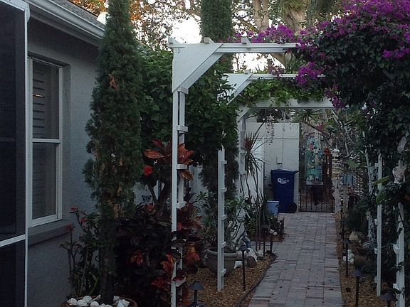 back garden