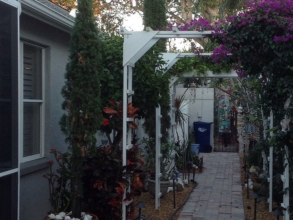 back garden