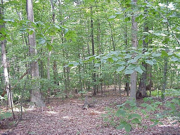 Property behind house