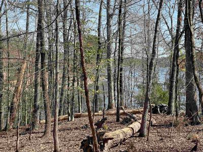 25 Purista Ln, Hot Springs Village, AR, 71909