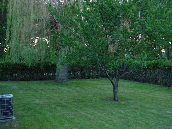 Front/side yard