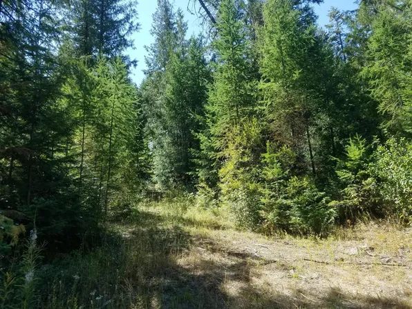 Xx Summit Valley Rd, Addy, WA 99101