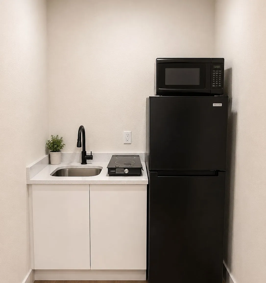 1 bed, 350 sqft, $950 — Photo 2