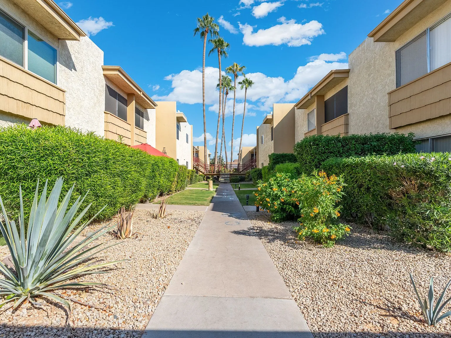 2 bed, 1.5 bath, 986 sqft, $3,250 — Photo 3
