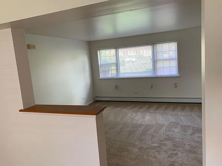 421 Bethel Dr — Photo 4