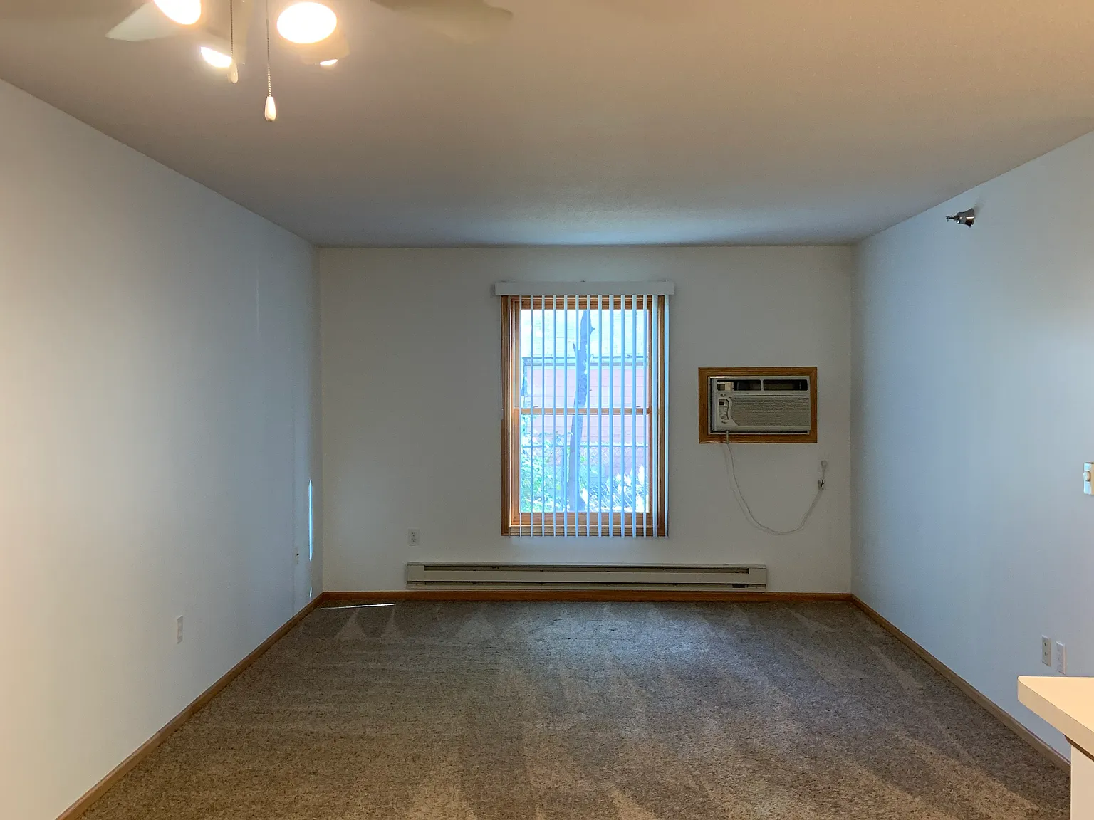 1 bed, 598 sqft, $900 — Photo 3