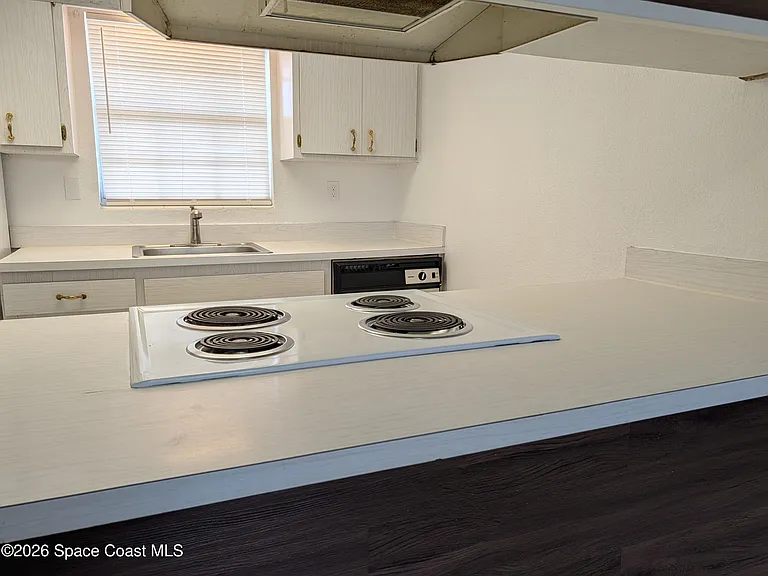 217 Bristol Ln — Photo 10