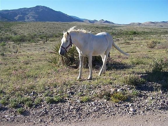 Looking at state land from front of house