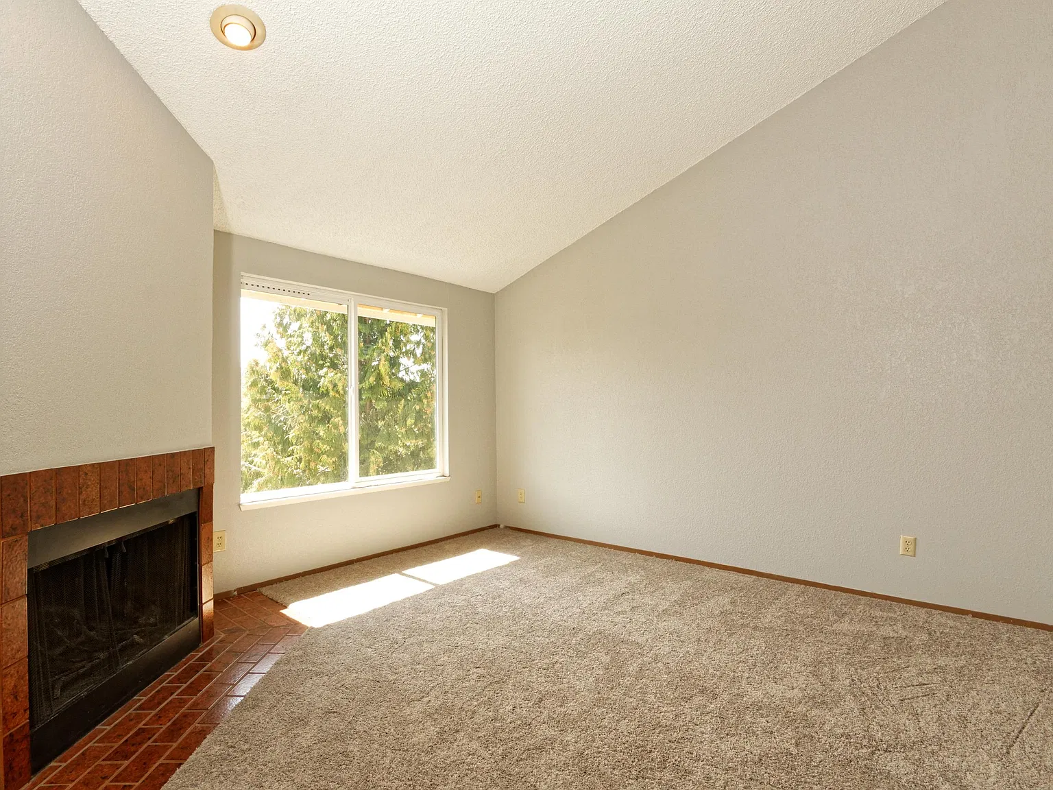 1 bed, 832 sqft, $1,500 — Photo 2