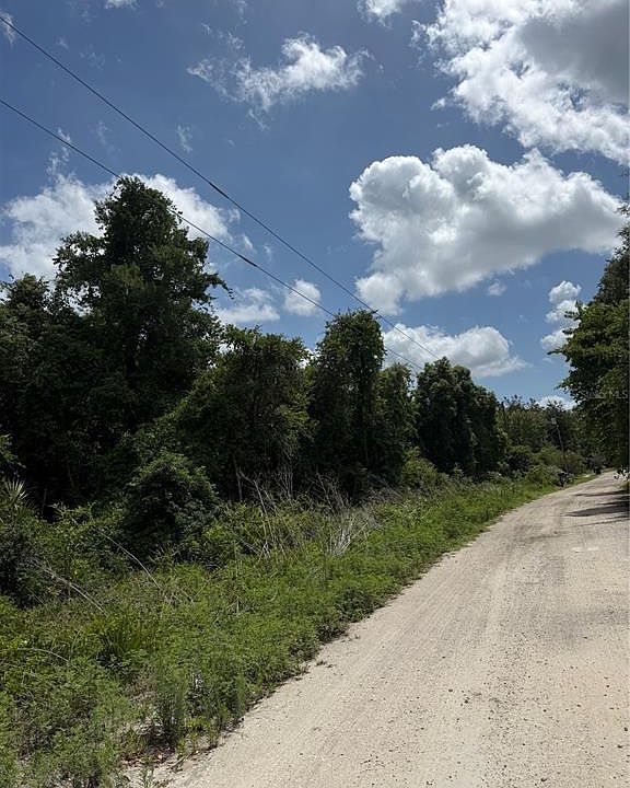 2nd image of PALMETTO CIRCLE LOT 55