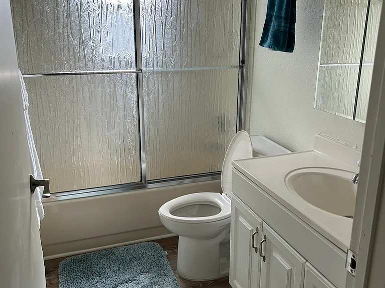 Guest bath