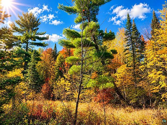 14th image of TBD Hinkkanen Rd