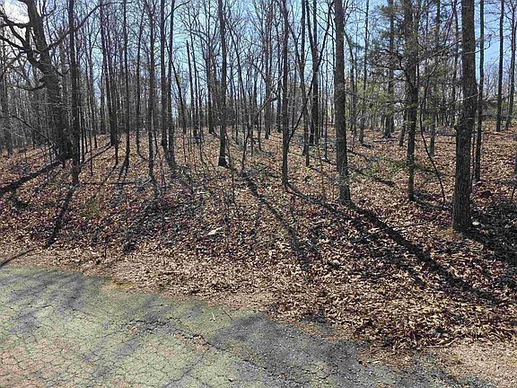 3rd image of L12-B5 Deer Run Dr