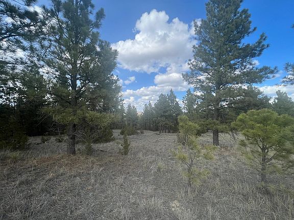 5th image of 45 Winchester Dr