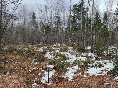 0000 Route 2, Greenbush, ME, 04418