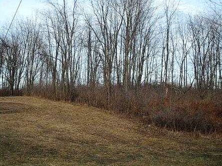 2nd image of Morganza Rd