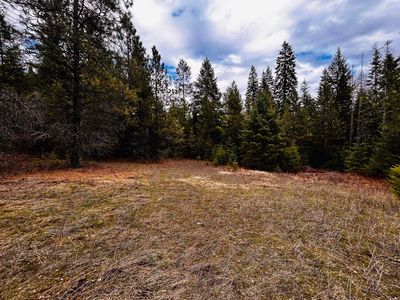 1776 Horseshoe Lake Rd, Deer Park, WA, 99006