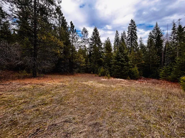 1776 Horseshoe Lake Rd, Deer Park, WA 99006