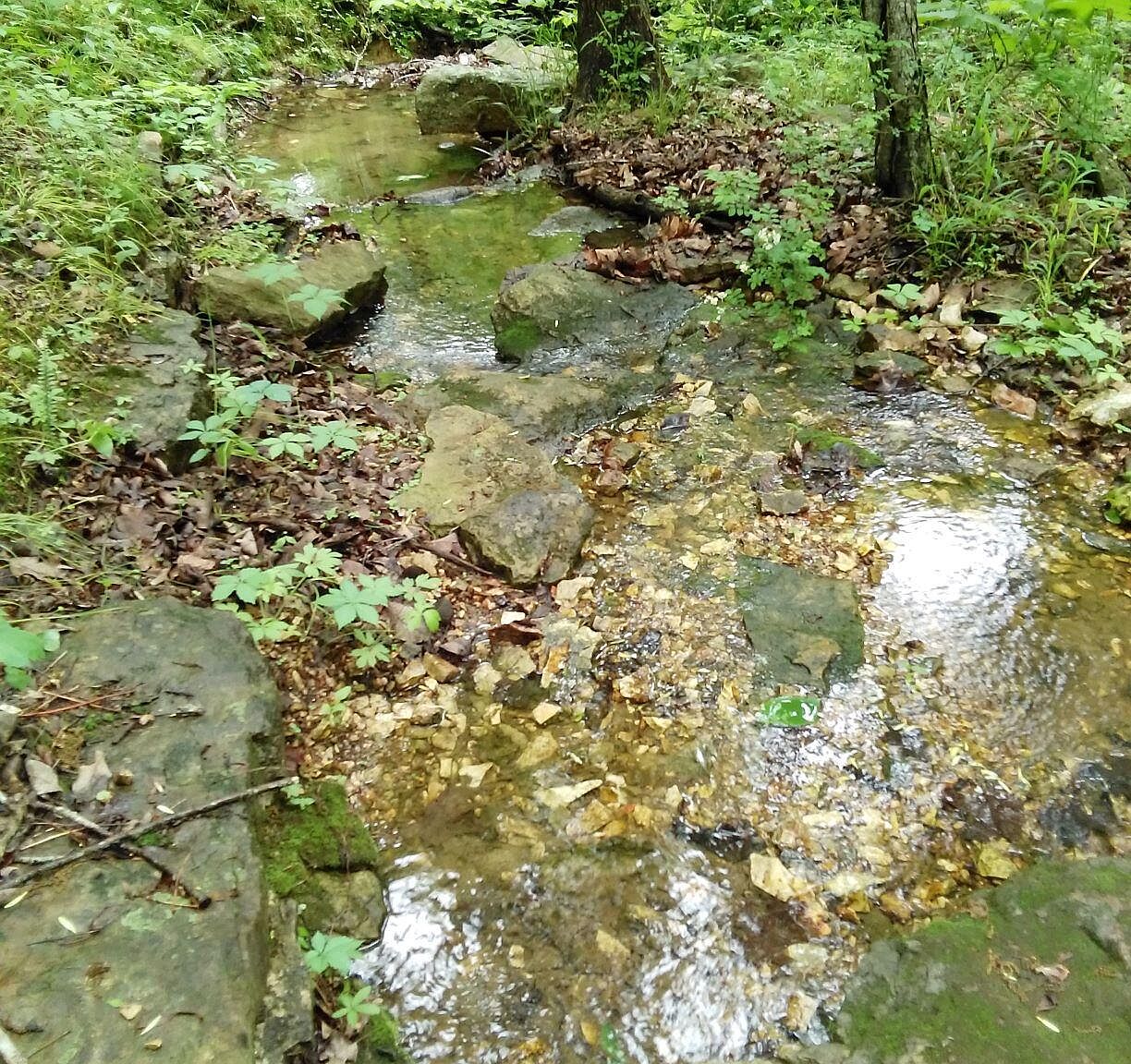 10393 State Hwy H, Pleasant Hope, MO 65725 Zillow