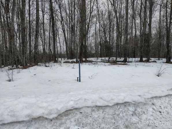 LOT Wildwood Dr #G, Iron River, MI 49935