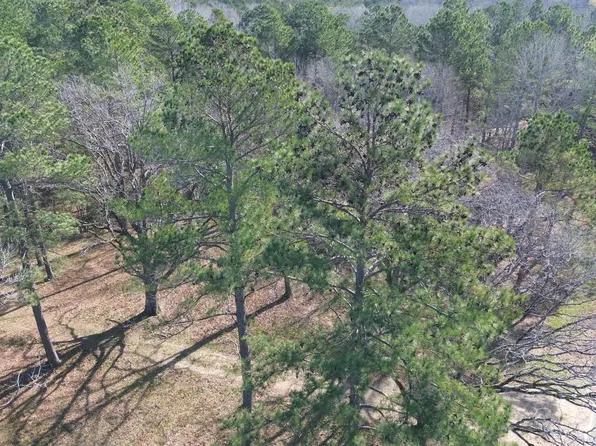 Fm 227 E, Kennard, TX 75847