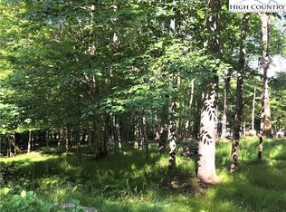 104 Wintergreen Way Rd, Banner Elk, NC 28604