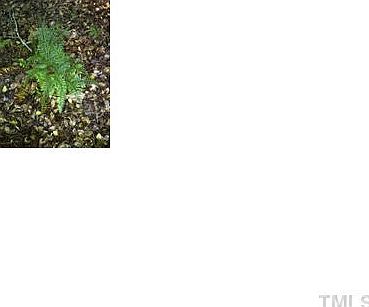 2nd image of 120 Rustler Rd #3324