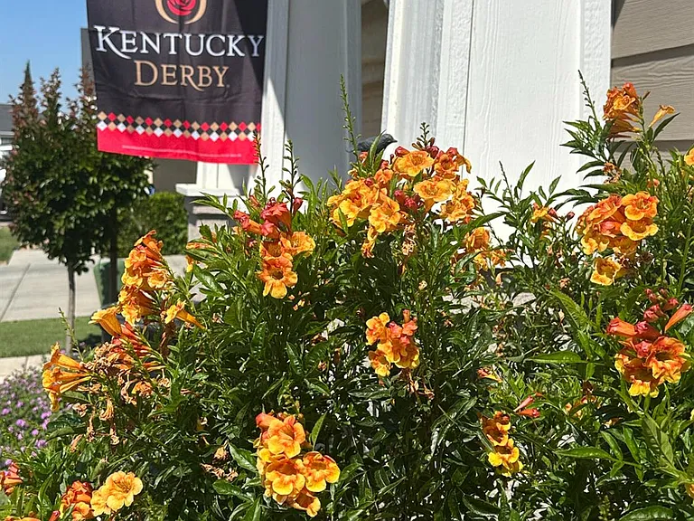 43 W Bohemia Ln — Photo 26