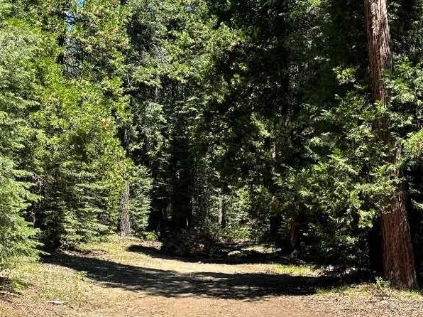 2-A-4 Summit Cir, McCloud, CA 96057