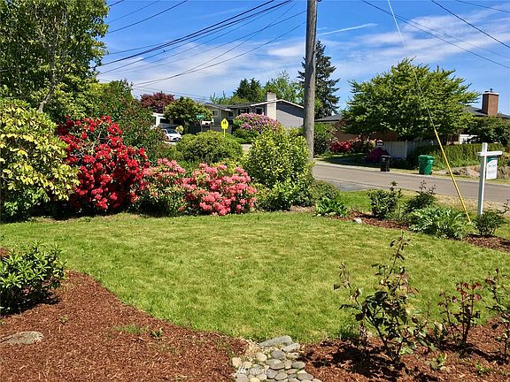 Beautiful front yard