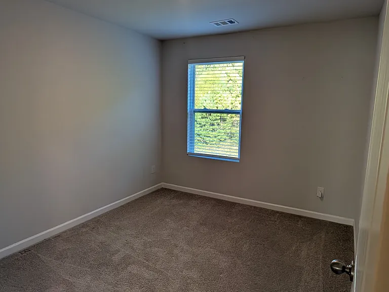 163 Dale Mires Ln — Photo 19