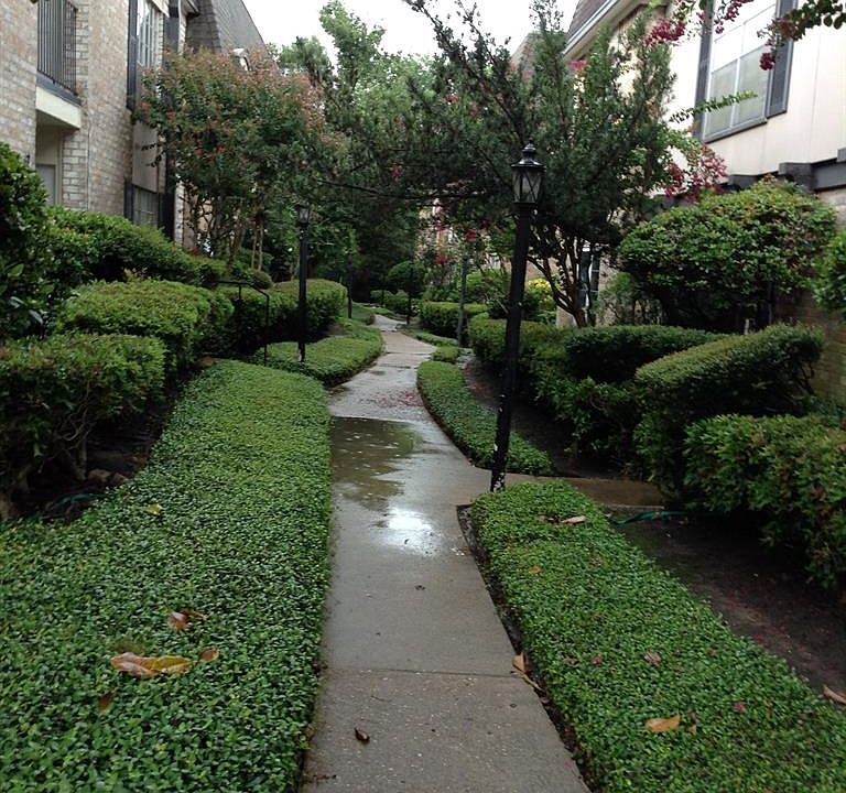 1st image of 1811 Stoney Brook Dr APT 203