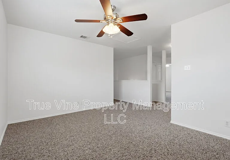 136 Texas Mulberry — Photo 12