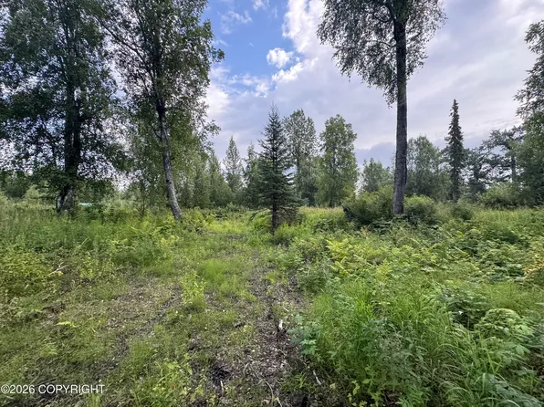 11360 E Wolf Trl, Trapper Creek, AK 99683