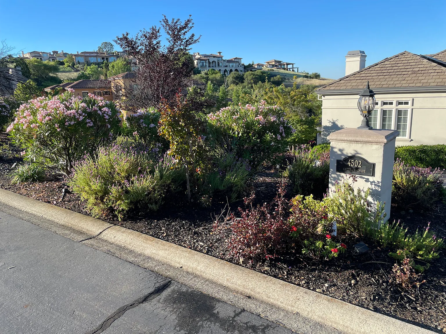3 bed, 2500 sqft, $5,500 — Photo 4