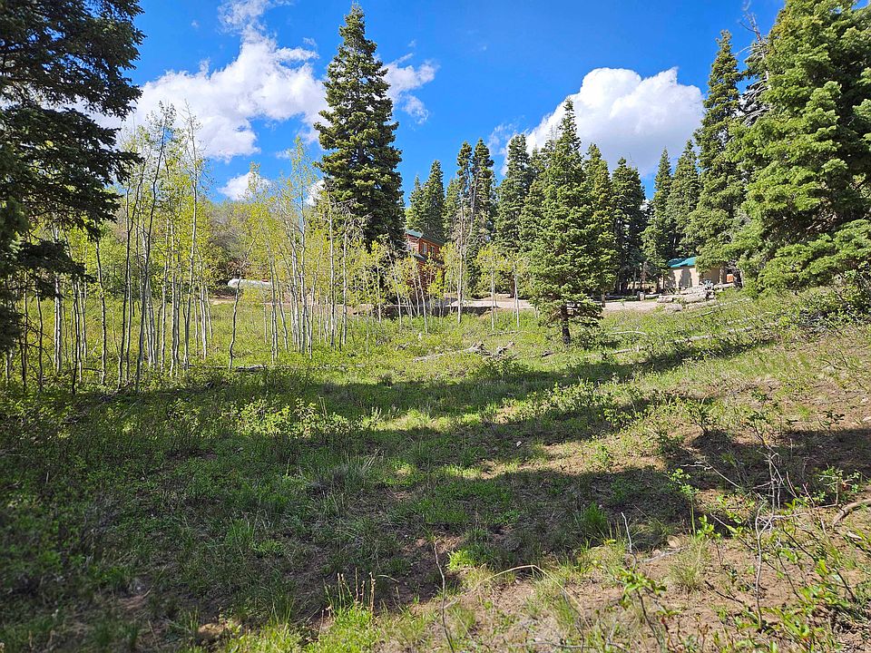 1st image of 50 E Thads Peak Dr S