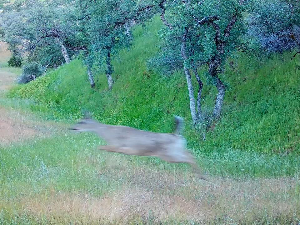 LOT 62 Nono Rd, Igo, CA 96047 Zillow