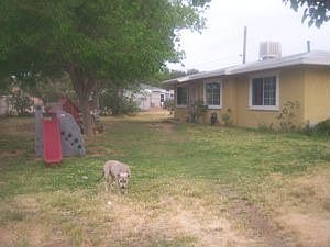 Great yard for dogs and kids!