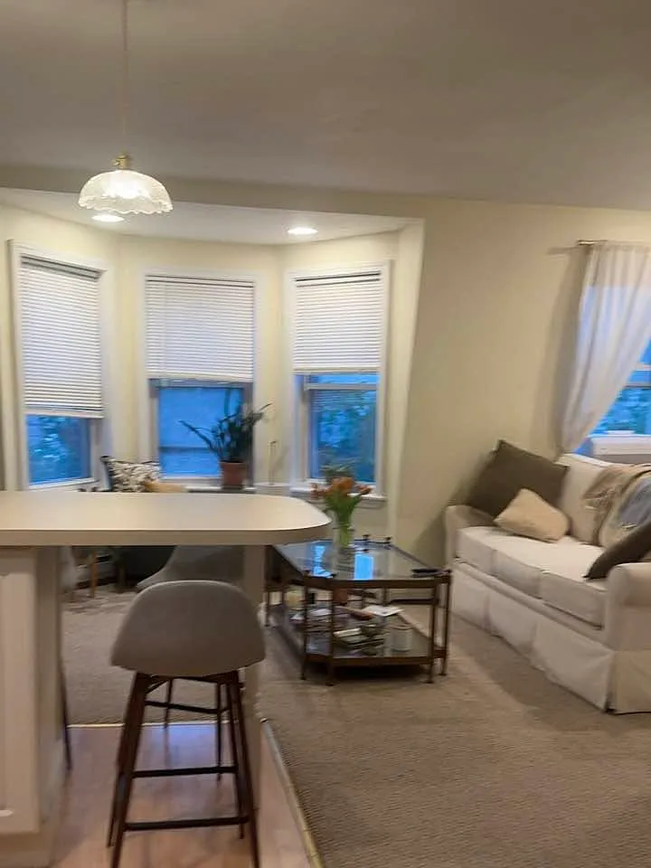 1 bed, 650 sqft, $2,500 — Photo 4