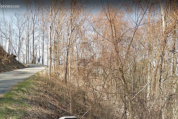 5th image of Arbon Ct