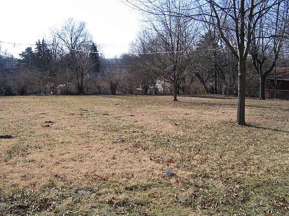 Almost 1/2 acre back yard