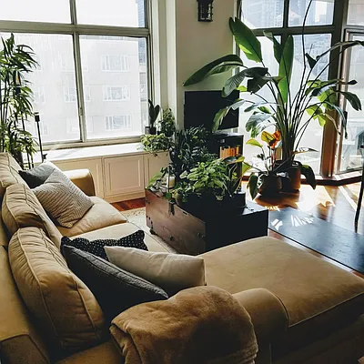 Rented by Voro NYC | media 1