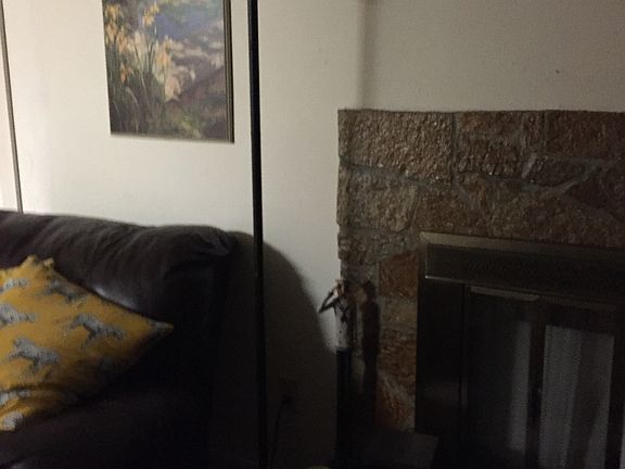 Living room fireplace 