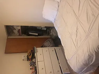 Rented by Shalimar Management