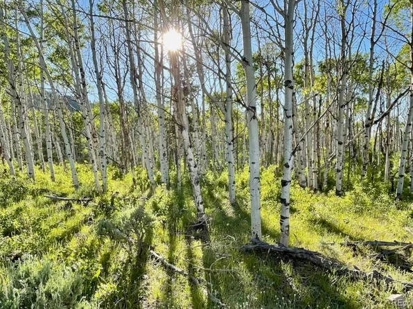 JCR 2, Walden, CO 80480