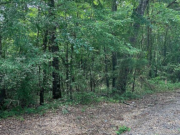 4th image of 0 Highway 278 W