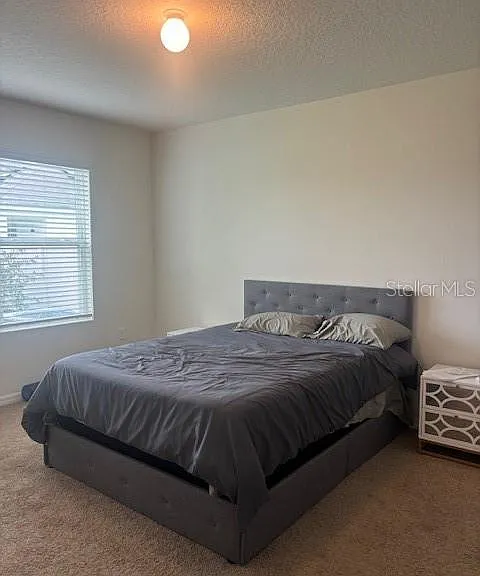 32696 Pez Landing Ln — Photo 4