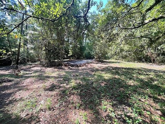 4th image of 320 Buras Ranch Rd