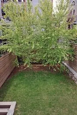Sold by Corcoran | media 6